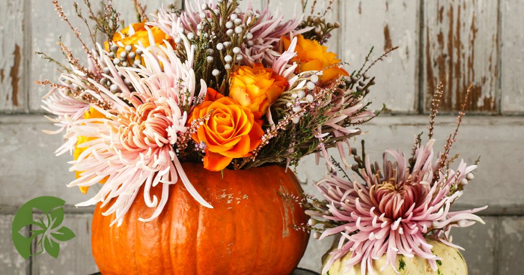 Frightening beauty -chrysanthemums and yellow roses
