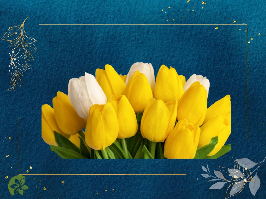 Perfect Flowers with vibrant colors 