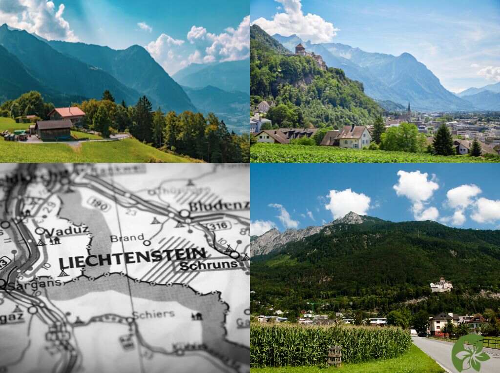 Preserved botanical heritage 